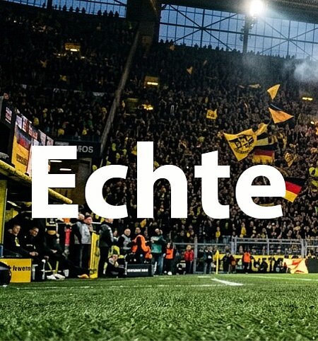 Verballere dein Geld nicht für Sportwetten!